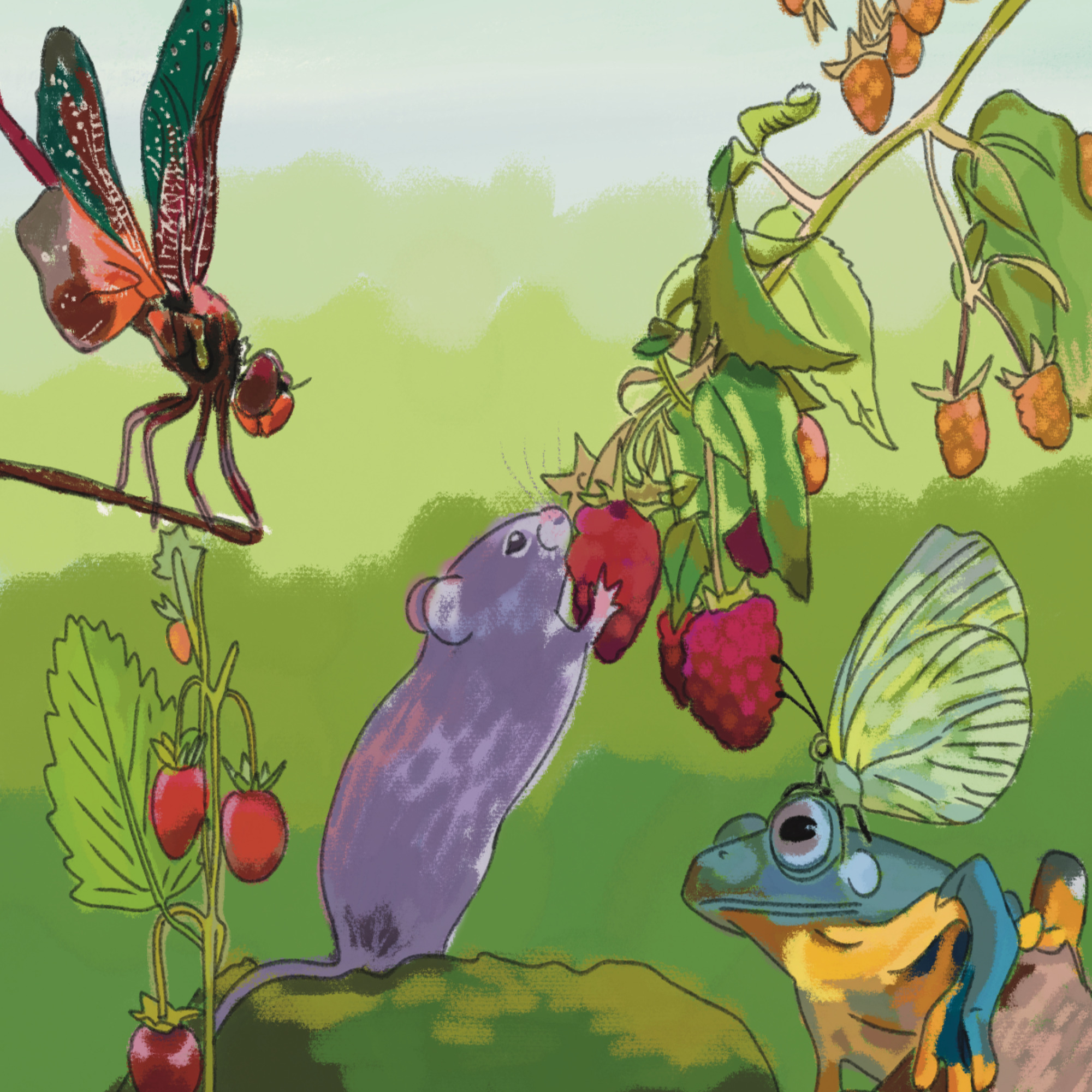 Ilustração 3